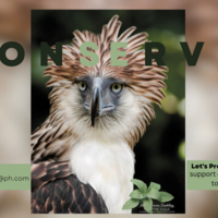 Portfolio Thumbnail 3