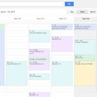 Google Calendar Sched