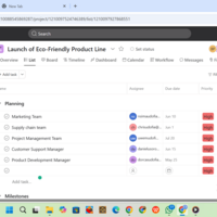 This is the list view of Asana