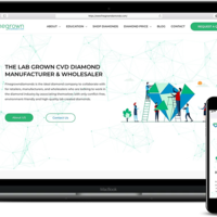 Online Diamond Store