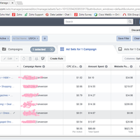 Ads performance (Conversion)