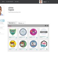 Badges from Virtual Assistant Training 