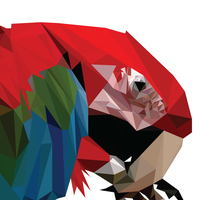 Low-poly illustration created for class project (parrot).