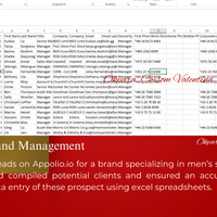 Generated leads using Appolio.io