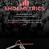 thesneakersavant.com