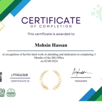 MS Office Certificate