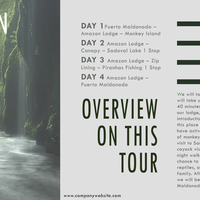 Portfolio Thumbnail 2