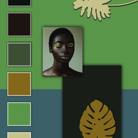 color board