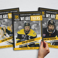 Portfolio Thumbnail 31