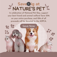 Instagram Post: Created with CANVA