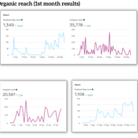 Facebook and Instagram Results