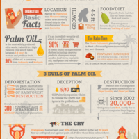 The Orangutan Oil Crysis
