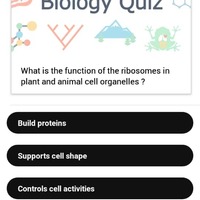 A quiz app built with react native