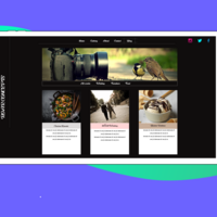 Portfolio Thumbnail 23