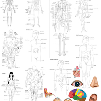 Portfolio Thumbnail 34