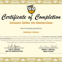 AMAZON SELLER VA MASTERCLASS