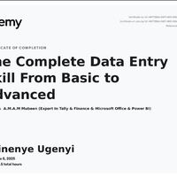 Data Entry Mastery + Web Scrapers