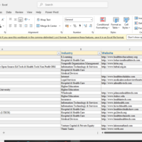 Leads of Health Companies I generated Using apollo.io