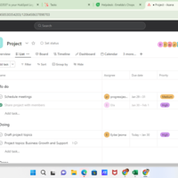 Asana Project management 
