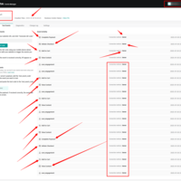 Tiktok Pixel & Conversion API