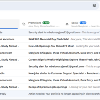 Client's email before