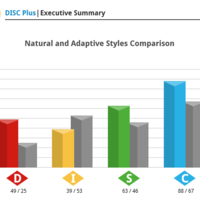 DISC Assessment