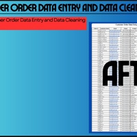customer order data entry and data cleaning project