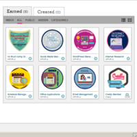 Credly Badge