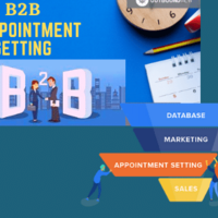 APPOINTMENT SETTER