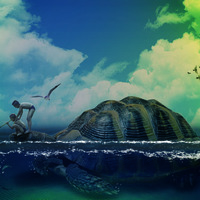 Portfolio Thumbnail 2