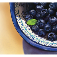 Editorial Food Illustration "Blueberries" 