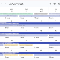 Google Calendar to streamline scheduling and manage tasks.