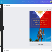 Photo Editing using Canva