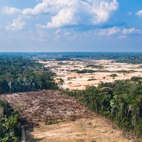 Portfolio Thumbnail 5