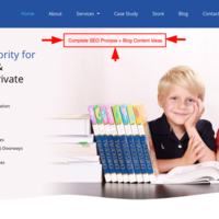 Full SEO Process