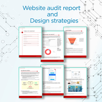 CRO audit Report