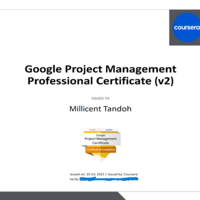 Project Management Professional tificate