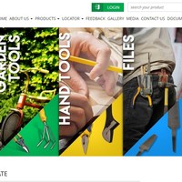 Web portal Development
