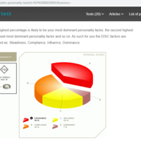 DISC Personality Test Result