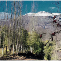 Portfolio Thumbnail 11