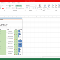 Project Management