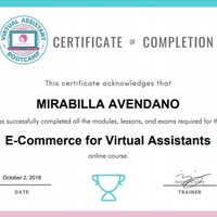 E-Commerce Certificate