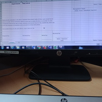 Audit Findings template