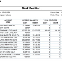 Daily Bank Report
