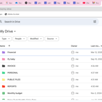 Google drive (File management and organization)n