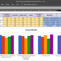 MS Office - Excel (Database)