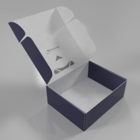 Box Packaging