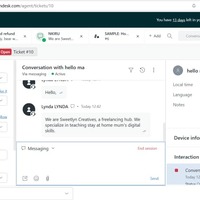 Chat Support on Zendesk,   