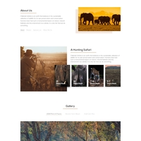 UI/UX Design
