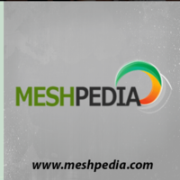 Web Development $ Management and social media management